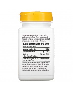 Nature's Way, холин, 500 мг, 100 веганских таблеток